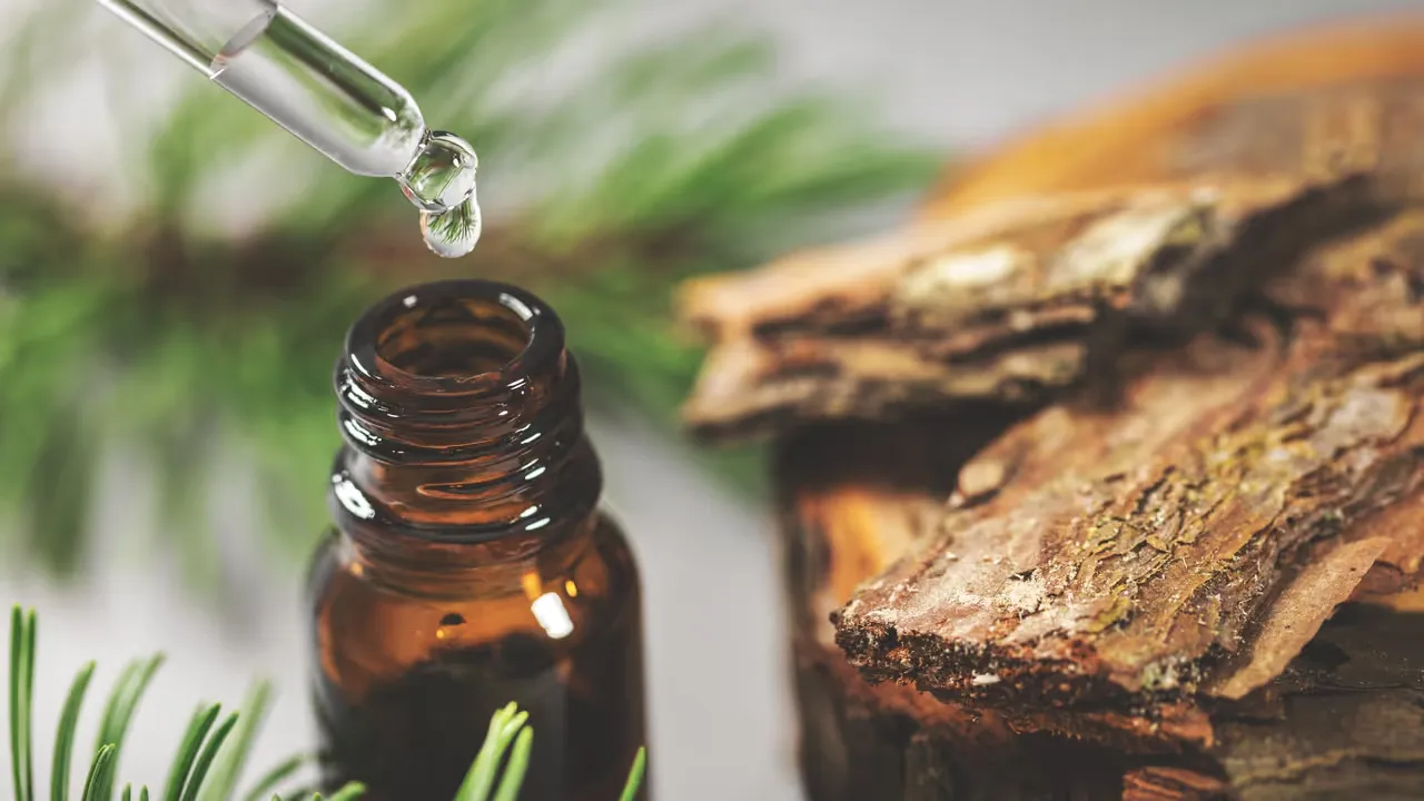 Doftande vägar till välbefinnande